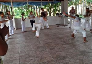IMG_6590.jpg