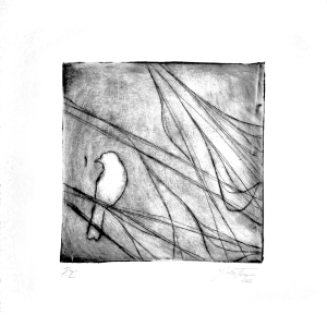 Sem título, 2025. Ponta seca sobre folha de acetato