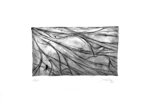 Sem título, 2025. Ponta seca sobre folha de acetato